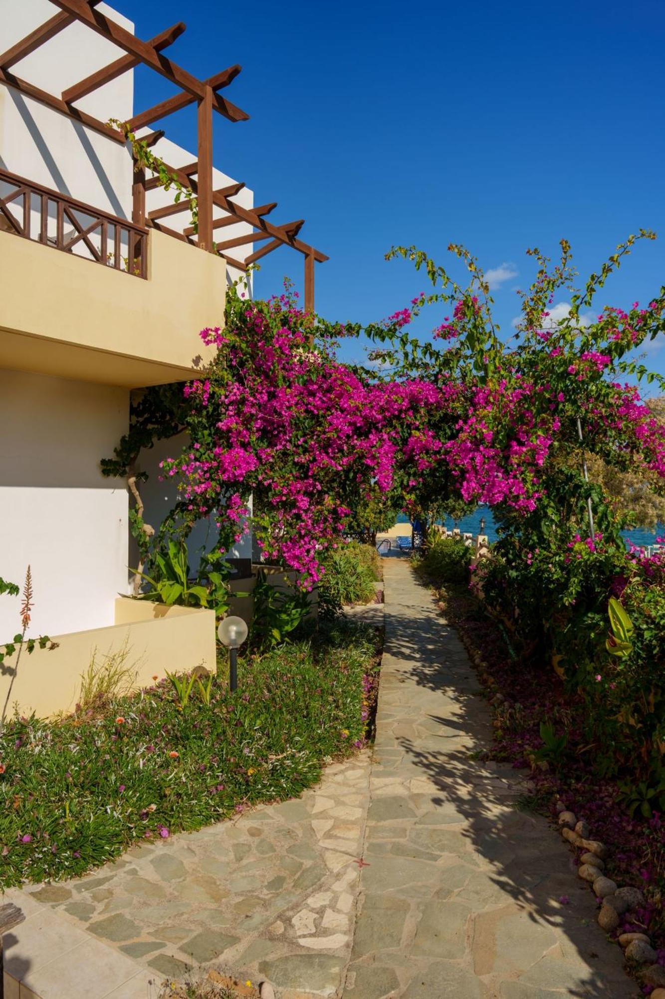 Dedalos Beach Hotel Sfáka Extérieur photo