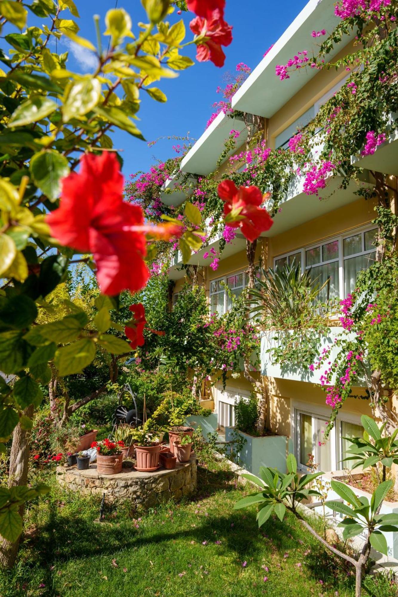 Dedalos Beach Hotel Sfáka Extérieur photo